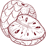 Chirimoya
